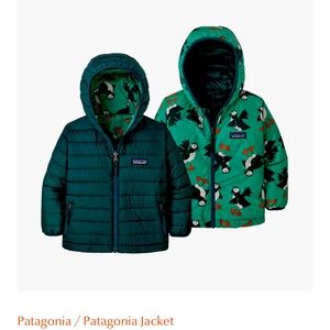 Patagonia Reversible Down Jacket